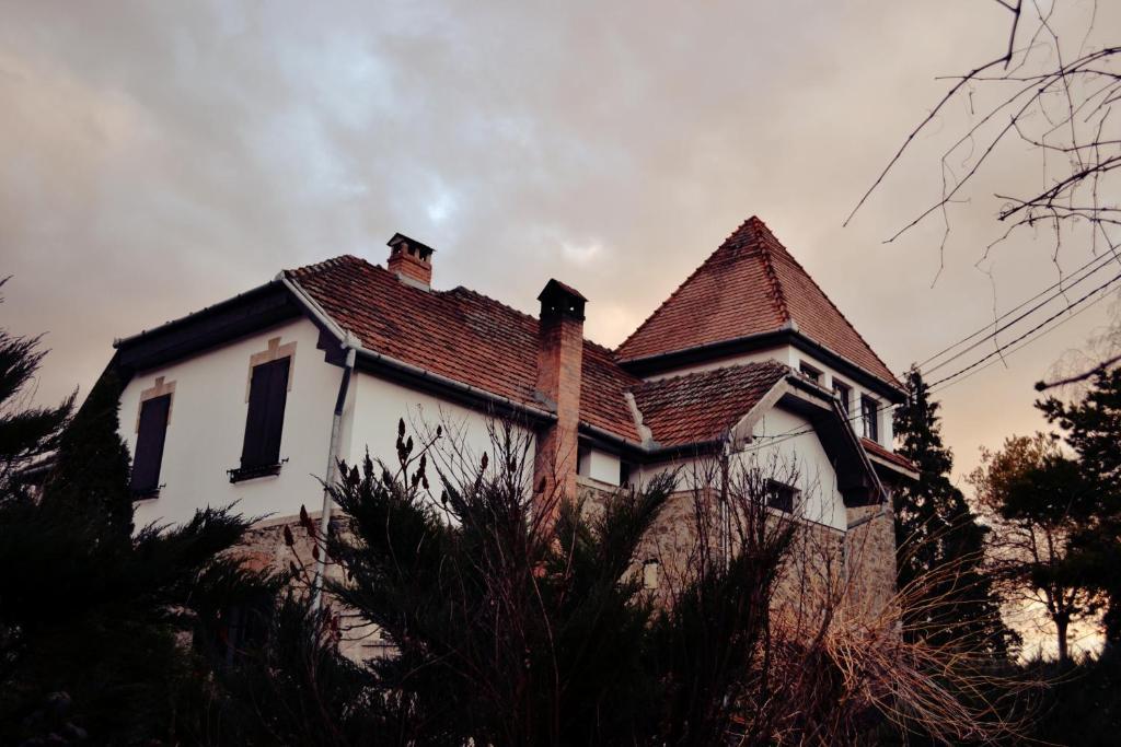 Villa Castelul Maria Banpotoc Luaran gambar